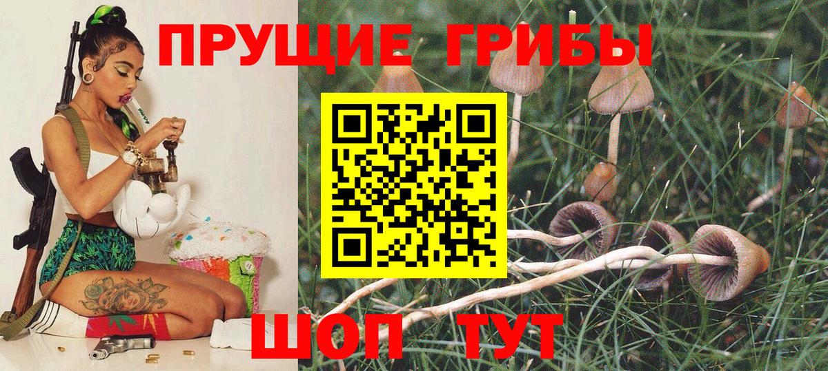 Чусовой  купить наркоту  Вход с VPN  Псилоцибиновые грибы Psilocybe 